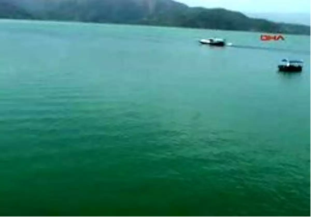 Köyceğiz - Erken Plankton Patlaması