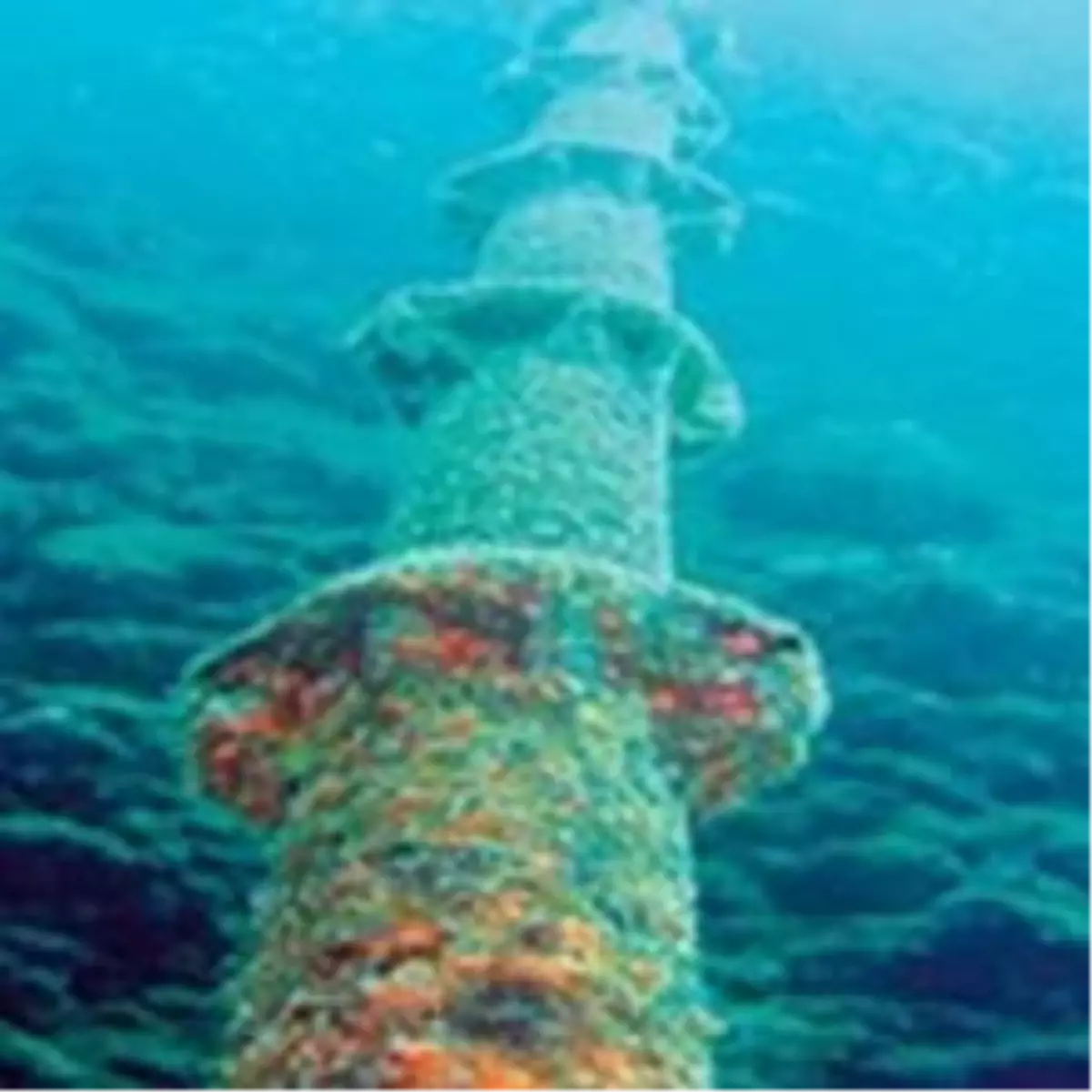 İnternet: Felaket Senaryosu!