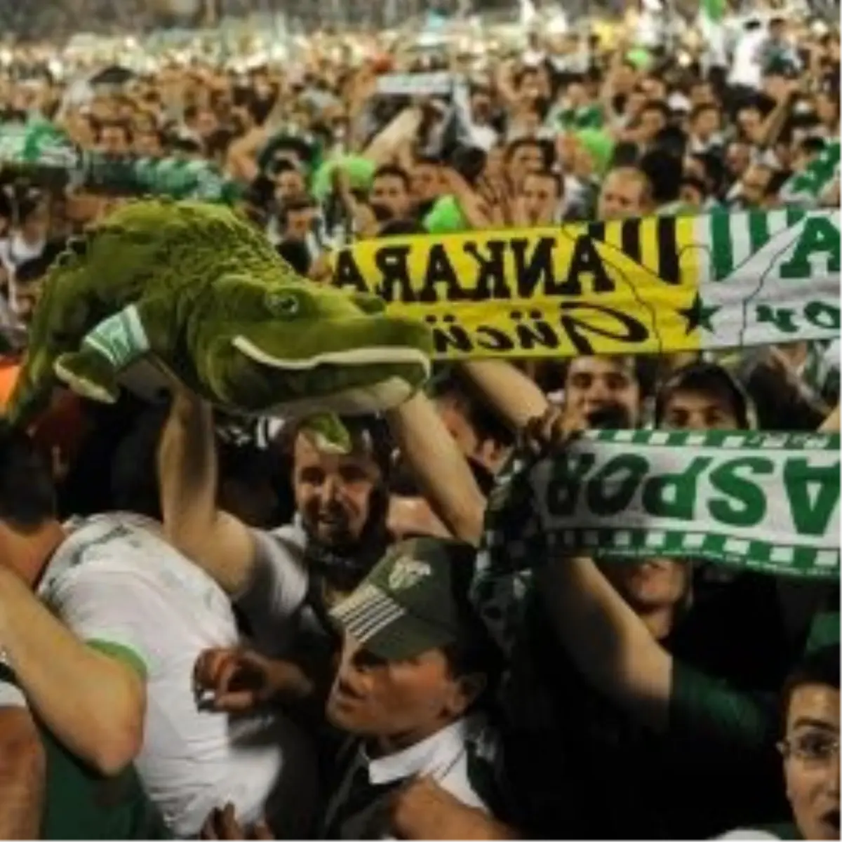 Melbourne Yeşil-beyaz