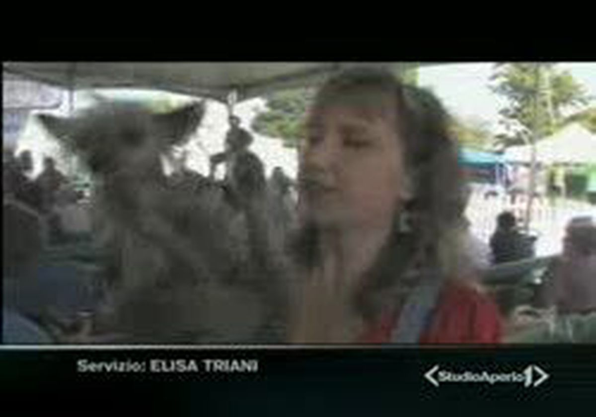 Dünyanın En Çirkin Köpeği Öldü