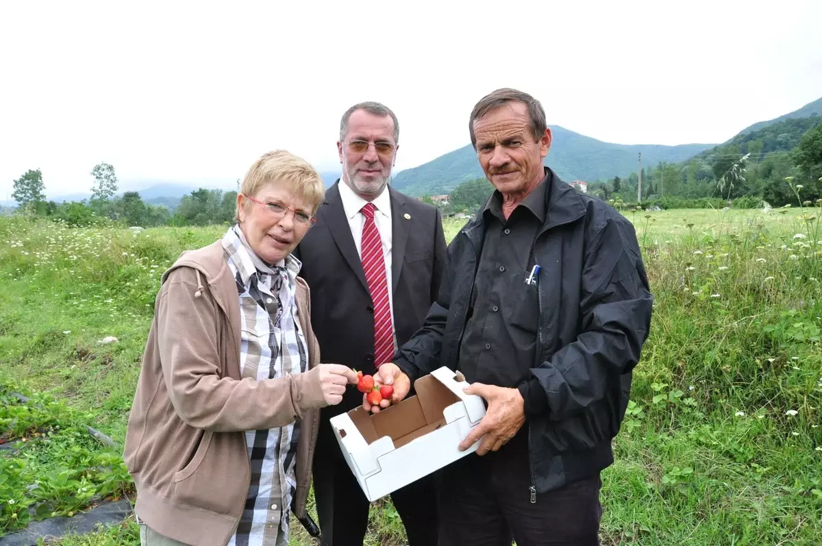 Gezelim Görelim Kartepe\'den Geçti