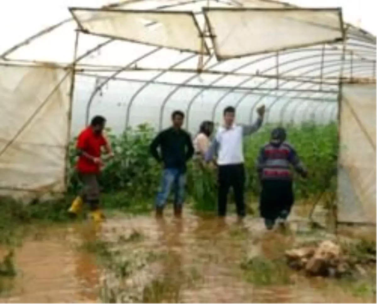 Yağış Seraları Vurdu