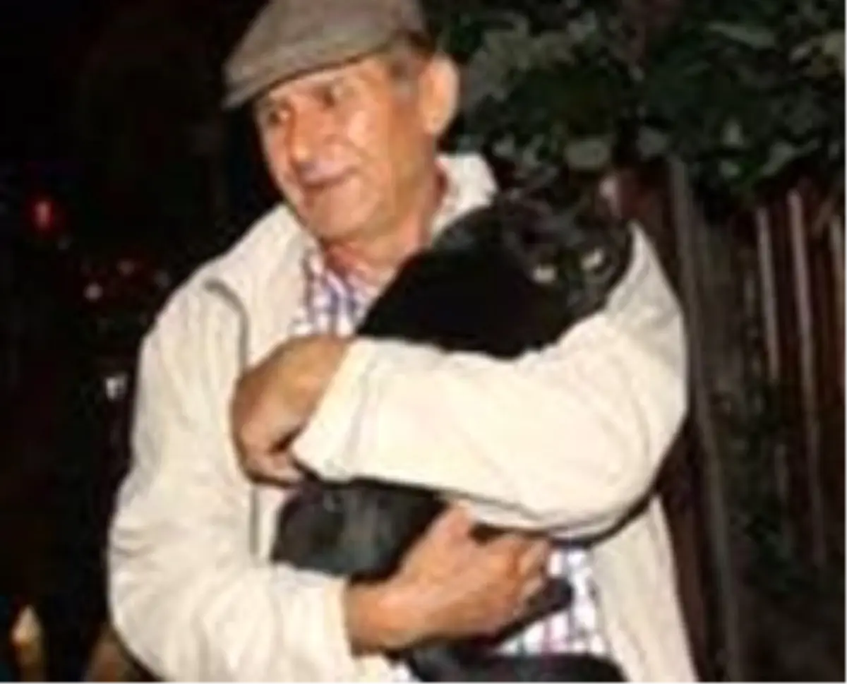 Kedisi İçin Alevlerin Arasına Daldı