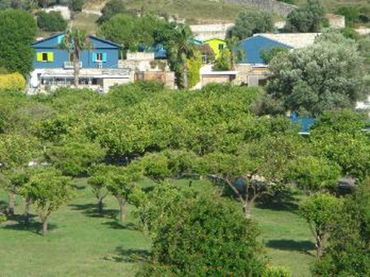 Babylon Aya Yorgi Bu Cuma Açılıyor