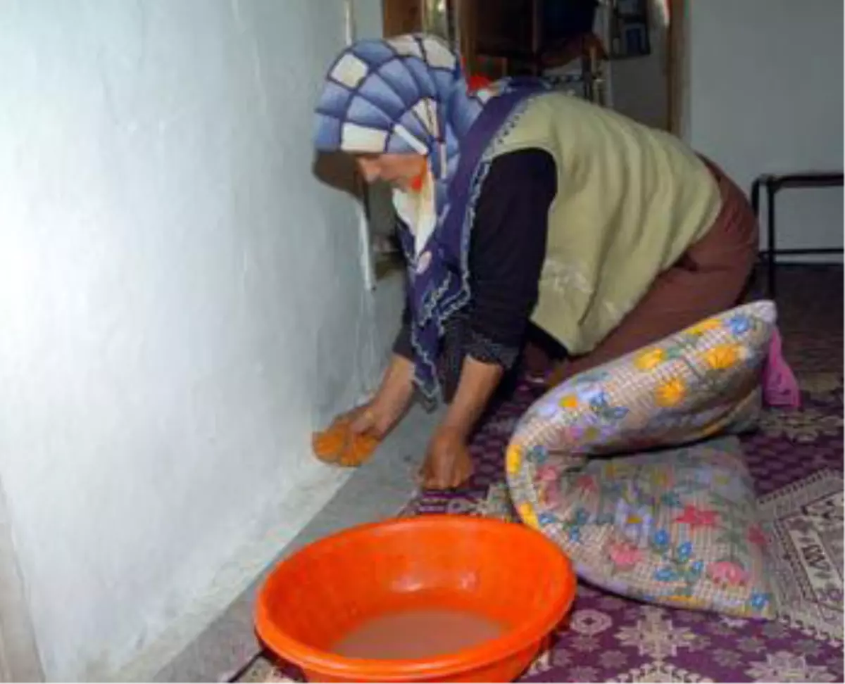 Keneler Köyü İstila Etti