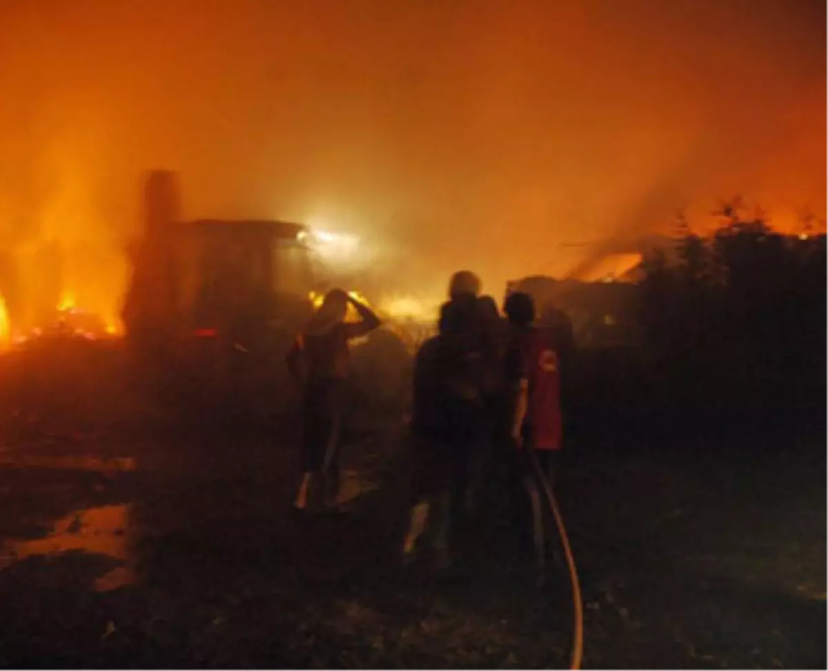 Yalova\'da Korkutan Yangın