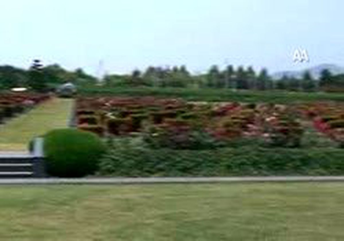 Gül Türk Şehitliğinde