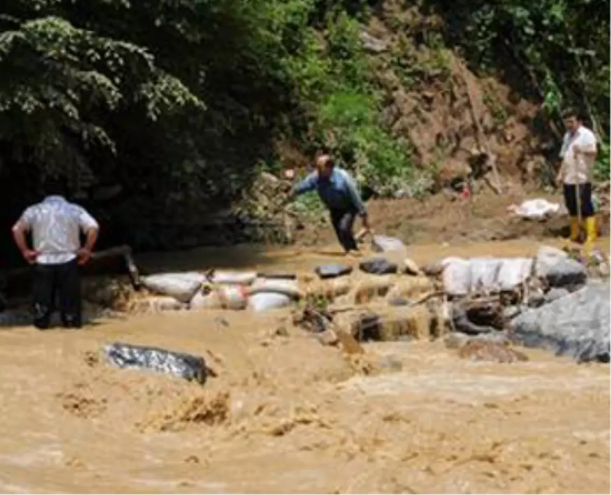 Giresun\'de Aracıyla Sel Sularına Kapılan Bir Kişi Öldü
