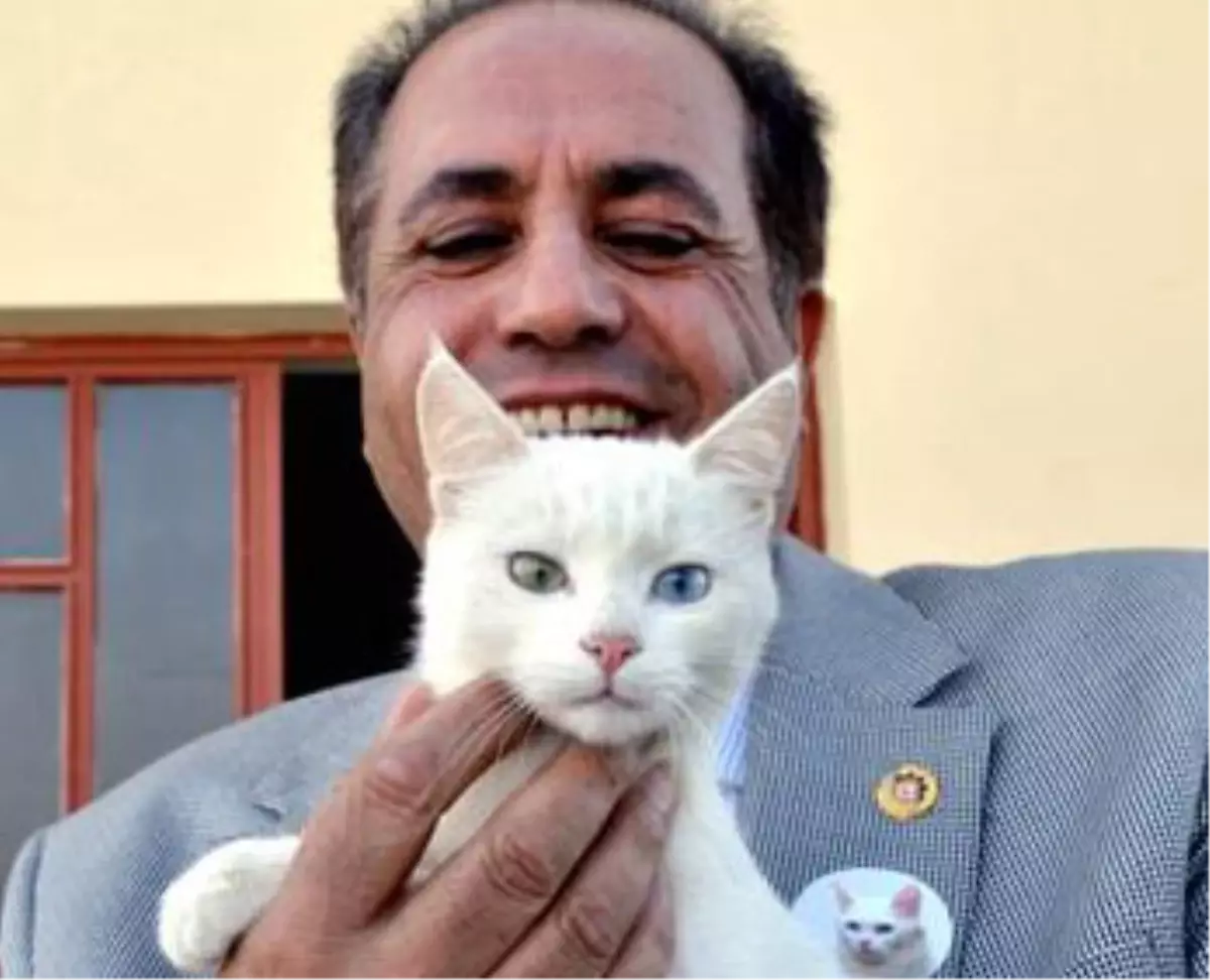 Ankara Büyükşehir Belediyesi\'nin Yeni Logosu Van\'da da Tartışılıyor