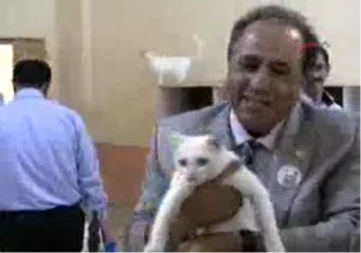 Van - Ankara Büyükşehir Belediyesi´Nin Yeni Logosu Van´Da Tartışılıyor