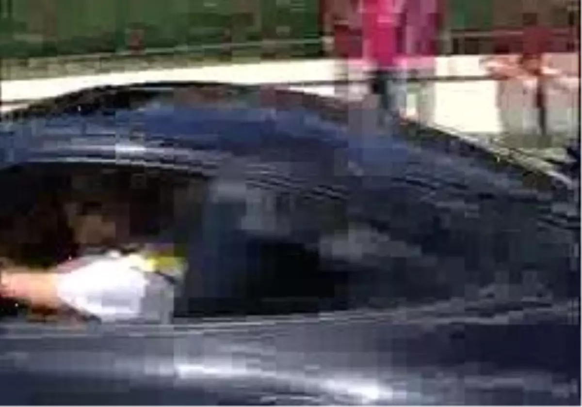 Beşiktaş, 2010-11 Sezonunun Startını Vermek Üzere Tesislerde Toplandı