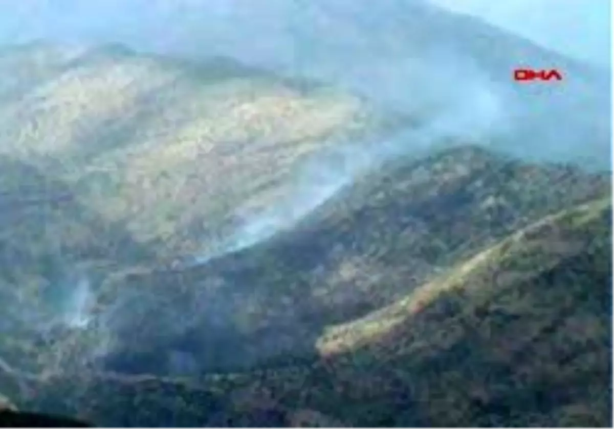Çukurca - Sınırdaki Orman Yangını Etkisini Azalttı