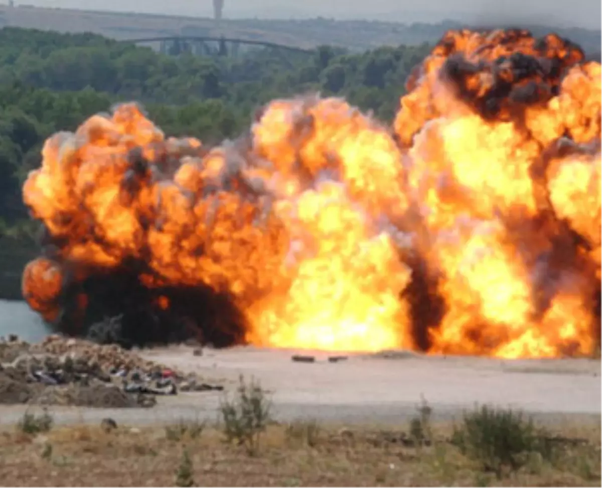 Dedektör Köpekler Alın ve Maço, Mayın Bulacak