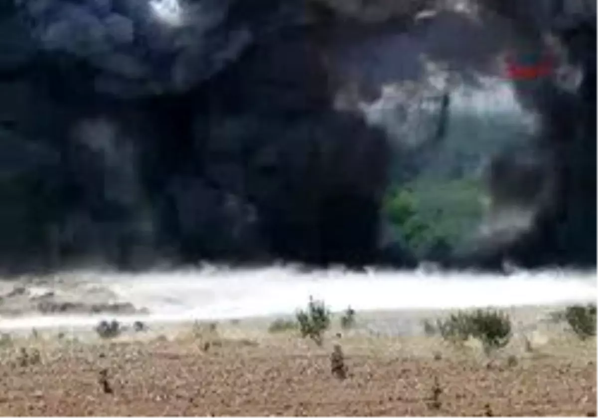 Gaziantep - Dedektör Köpekler Alın Ve Maço, Mayın Bulacak