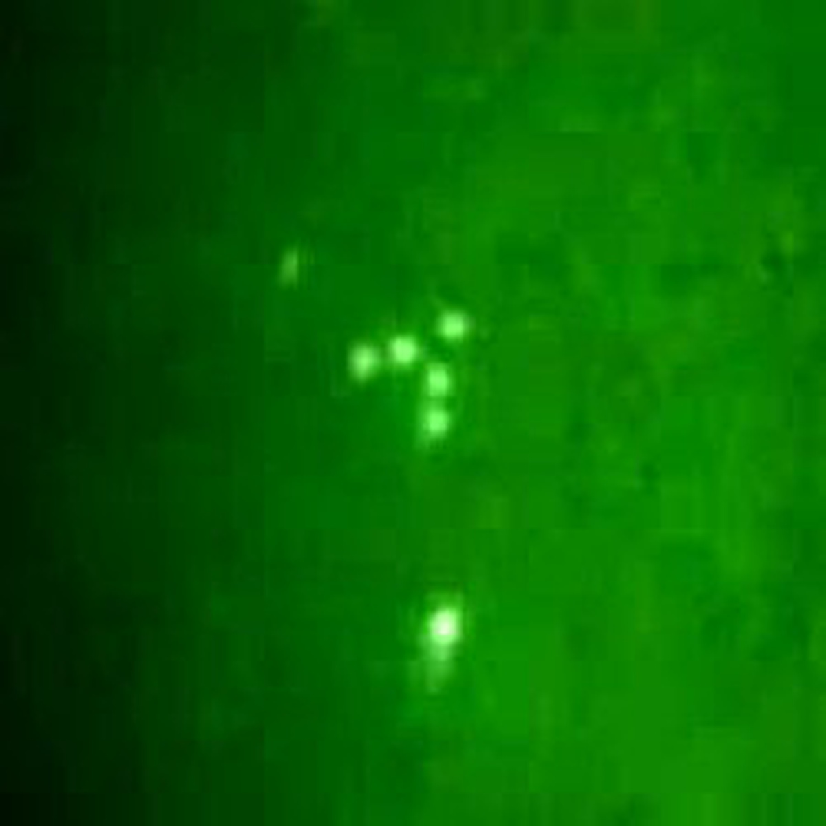 UFO Havaalanı Kapattırdı