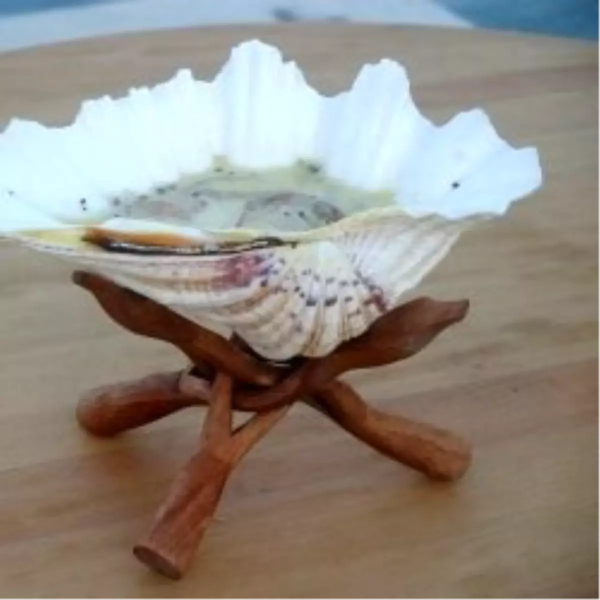 Banyan\'ın Kurucularından Alaçatı\'da Yepyeni Bir Mekan