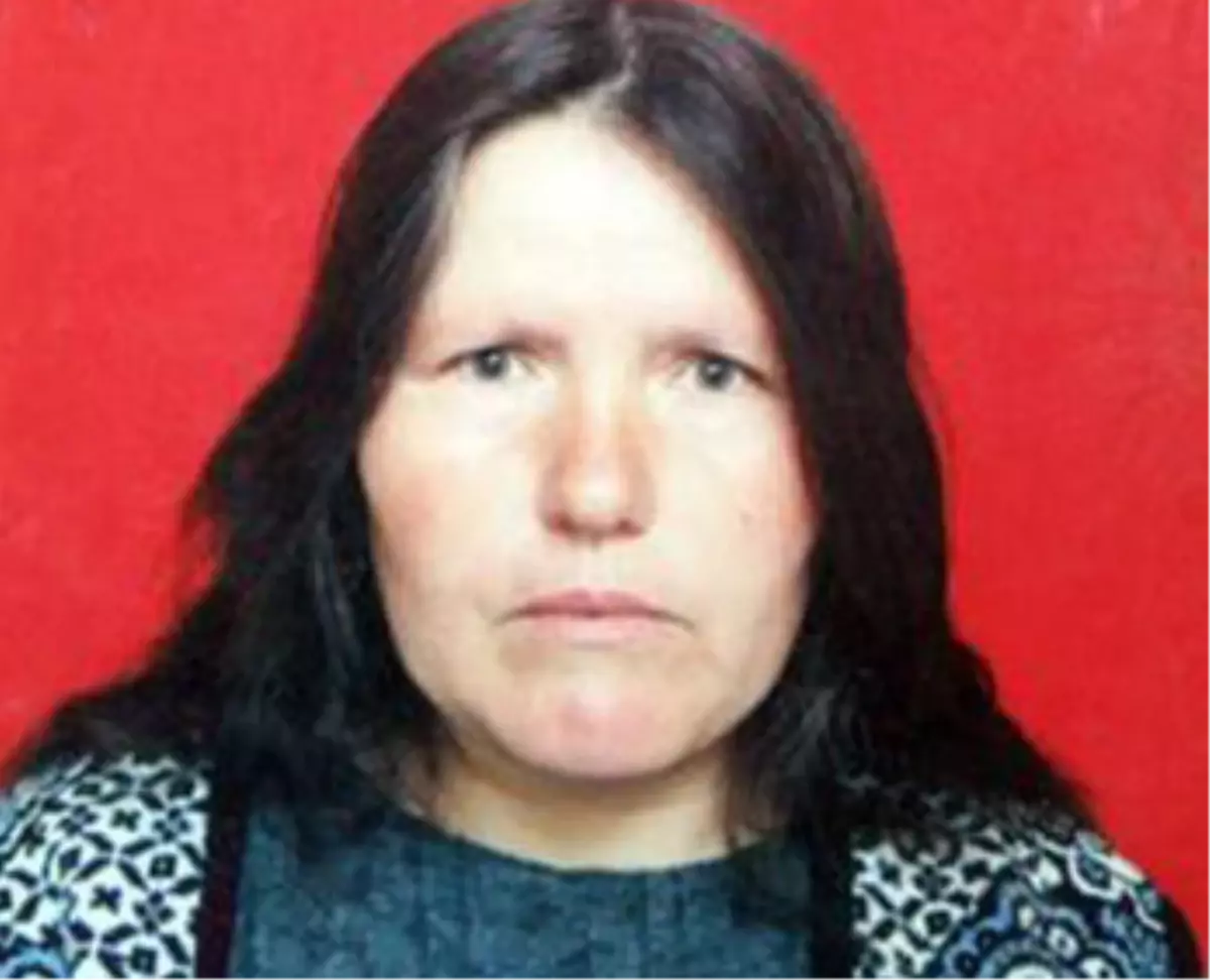 Kene 1 Can Daha Aldı