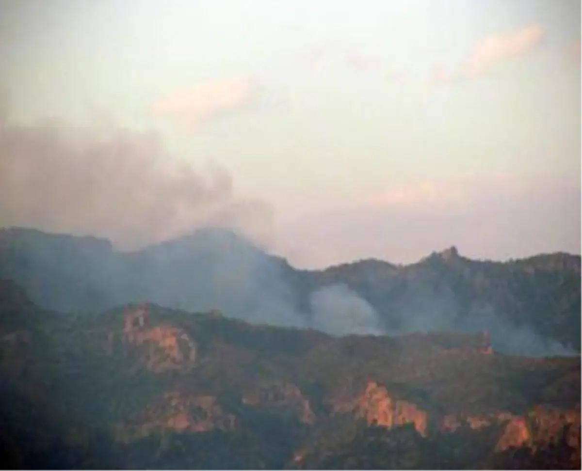 Cudi Dağında Yangın Tekrar Başladı