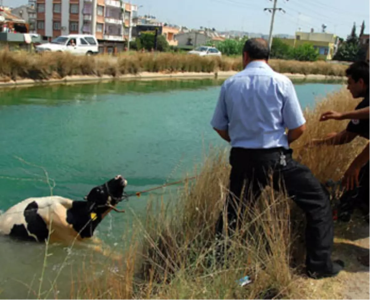 İlginç Kurtarma Operasyonu