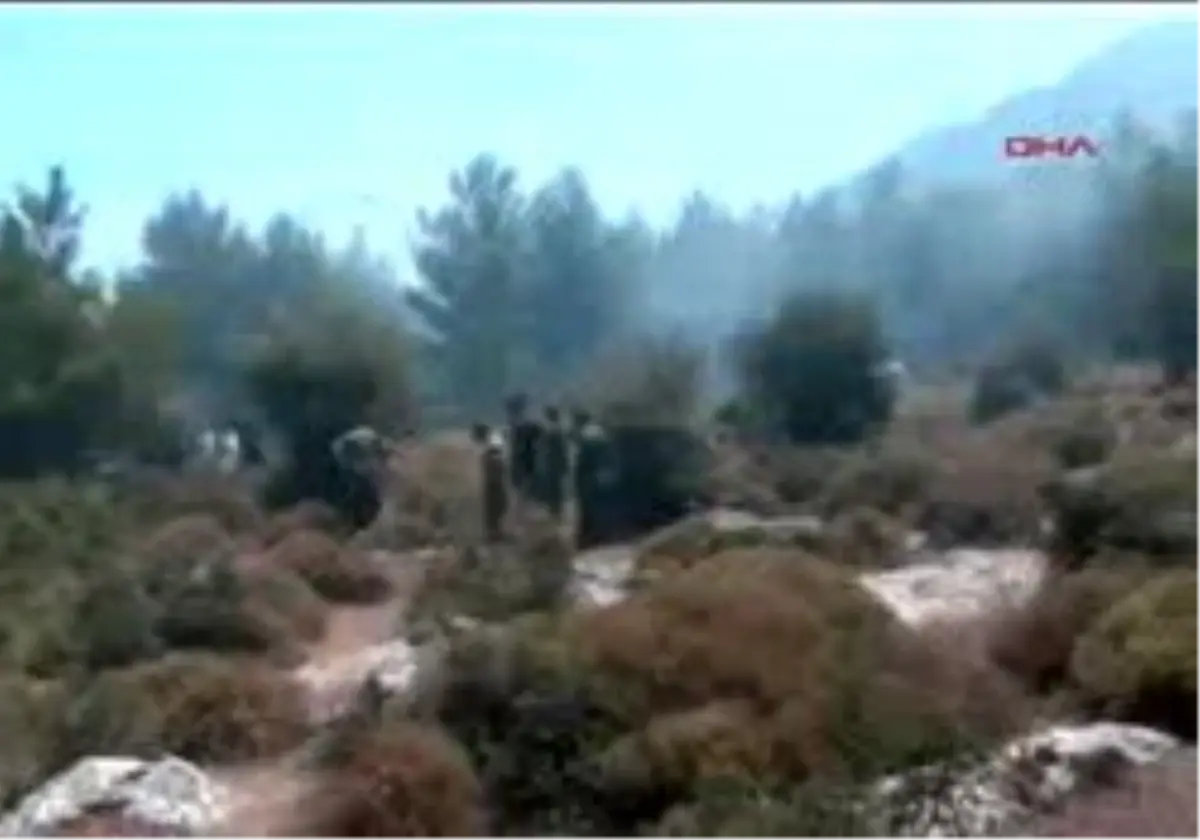 Manisa - Kaplumbağanın Kurtuluşu
Manısa´Da Orman Yangını Büyümeden Söndürüldü