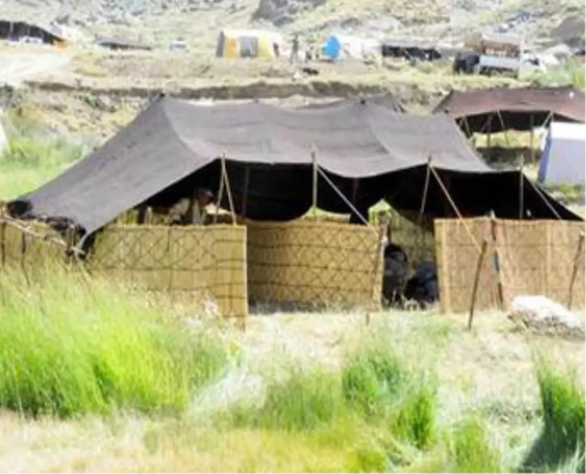 Kato Dağı\'nda Kuzu Kırpma Festivali