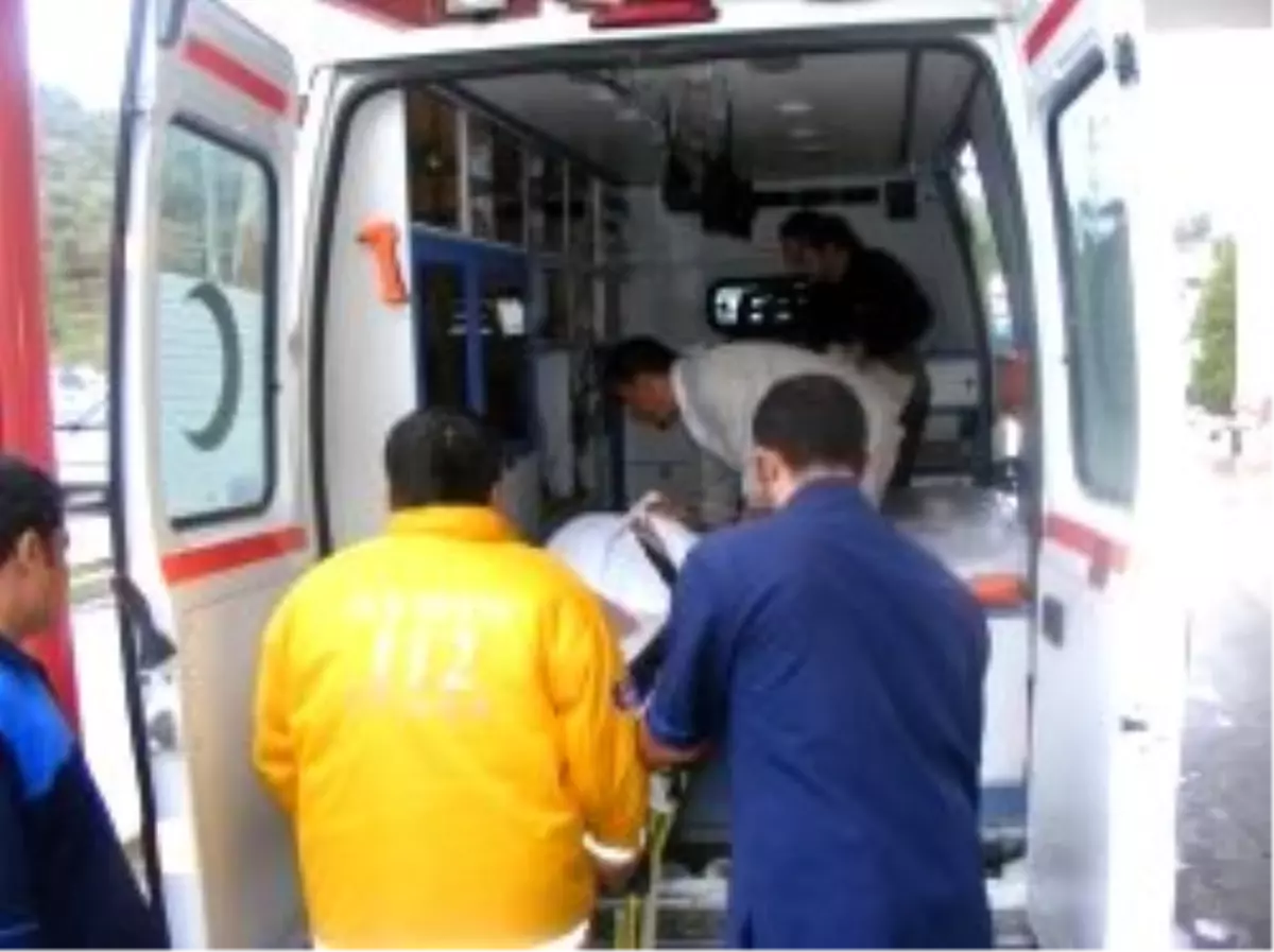 Rus Turistleri Taşıyan Minibüs Devrildi