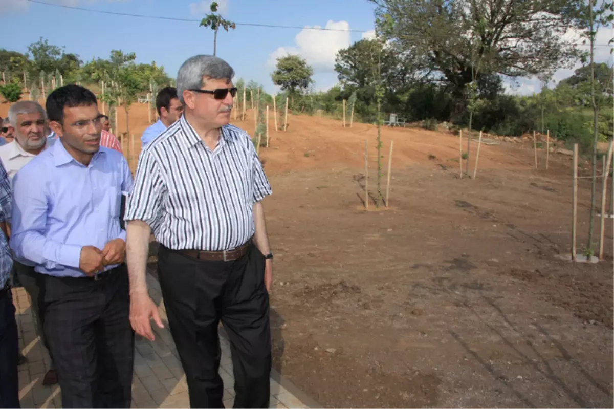 Mollafenari Köyü, Şehirden İleride