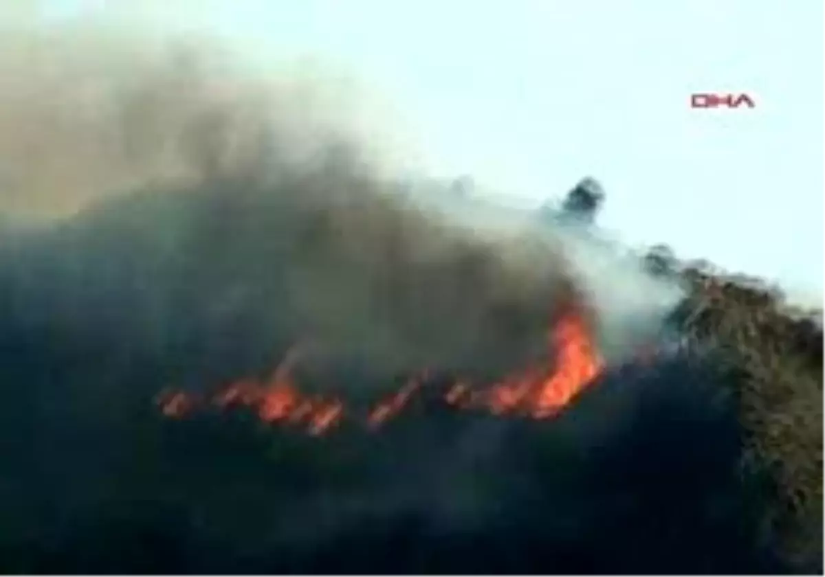 Muğla´Da Çocukların Tehlikeli Oyunu, 4 Dönüm Çam Ormanını Kül Etti
Büyüteçle Oynayan Çocuklar Ormanı Yaktı