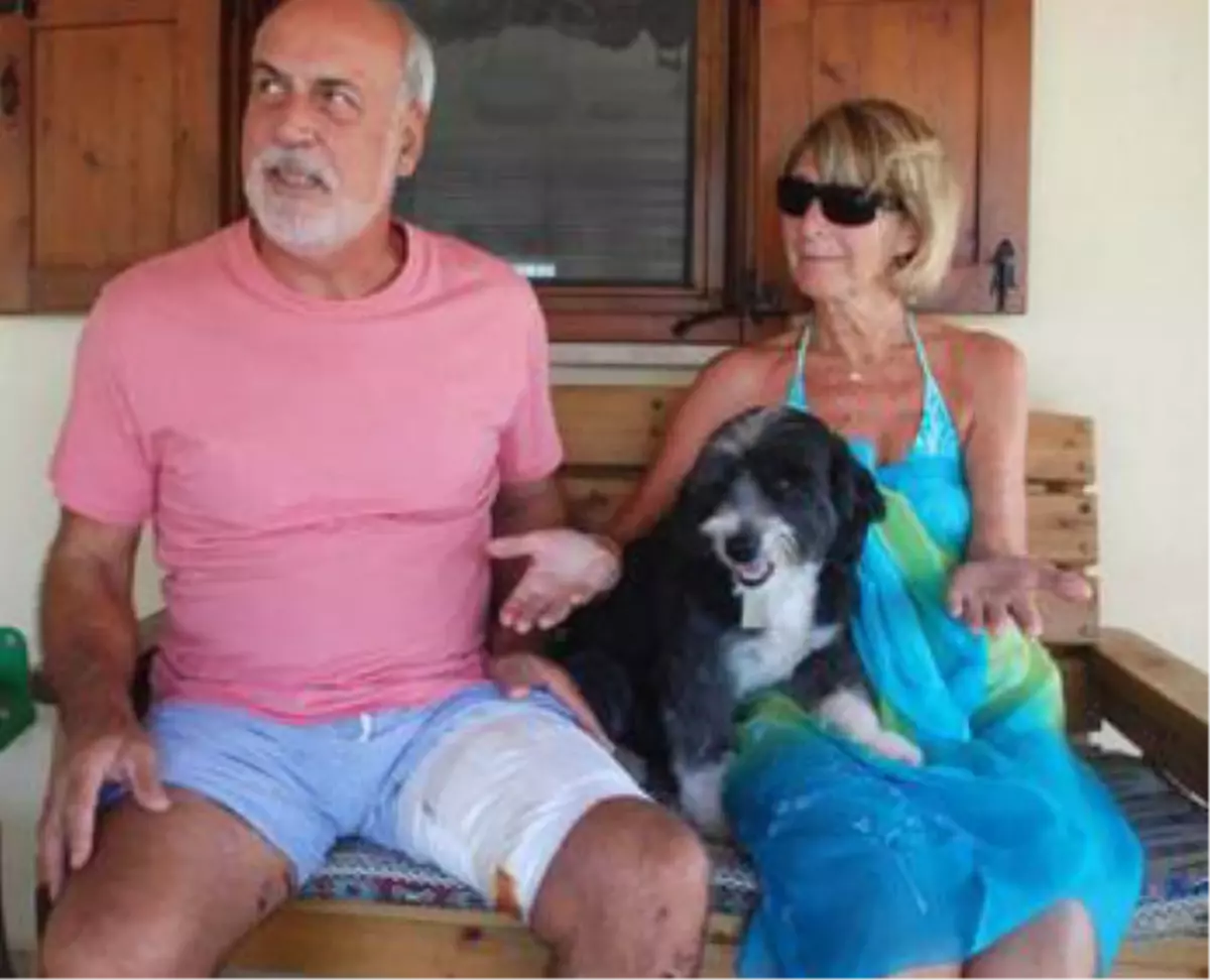 İngiliz Turiste, İki Boxer Cinsi Köpek Saldırdı