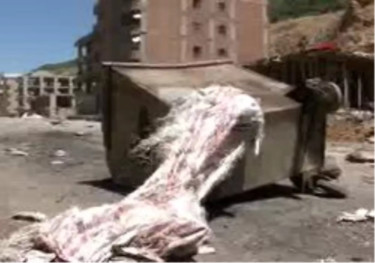 Şemdinli´ De Kepenkler Açılmadı