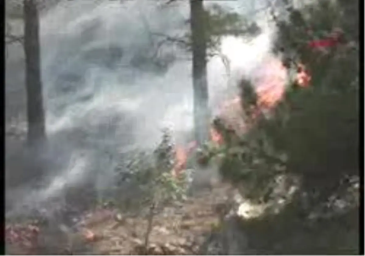 Pozantı - Niğde-Adana Arasında Orman Yangını