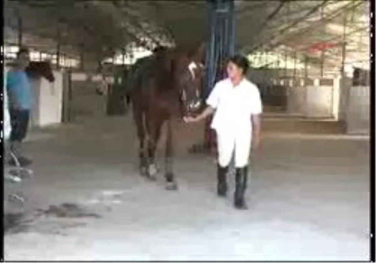 Antalya - ´Organlarını Mı Çalacaksınız ?´