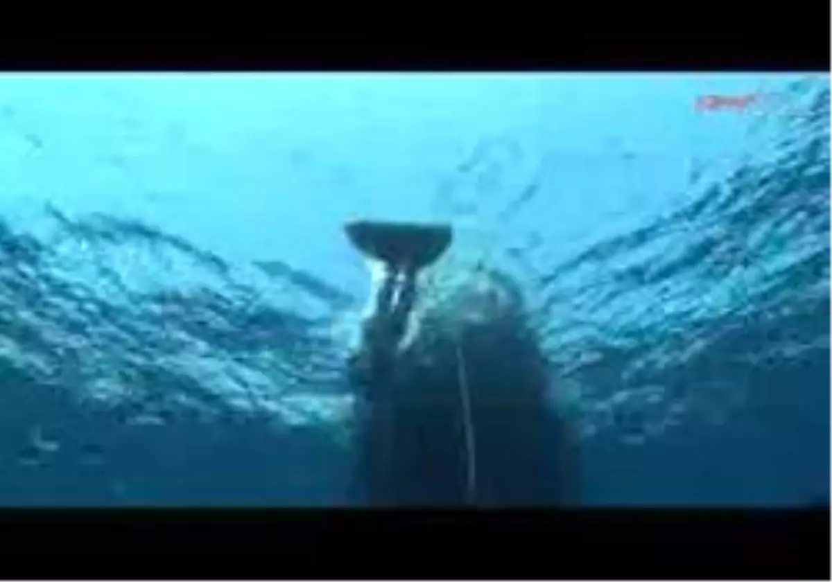 Çanakkale - Ulusoy Yeni Dünya Rekorunu Kıramadı