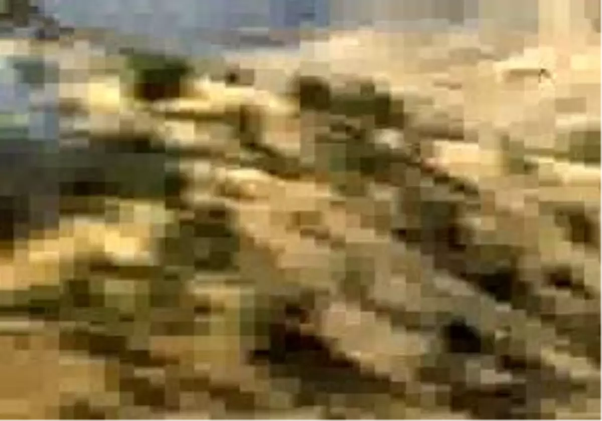 Cizre - Cudi Dağı 2 Günder Beri Yanıyor