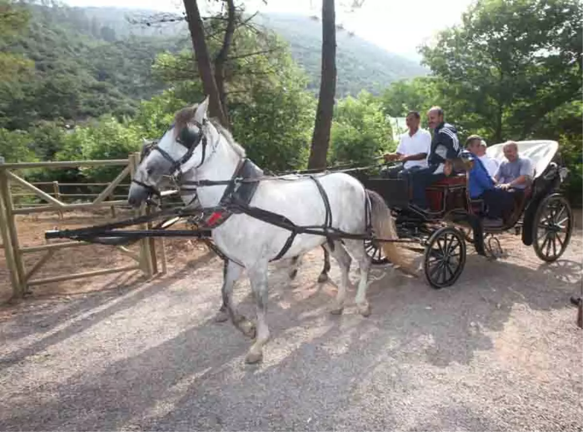 Fayton Keyfi Başlıyor