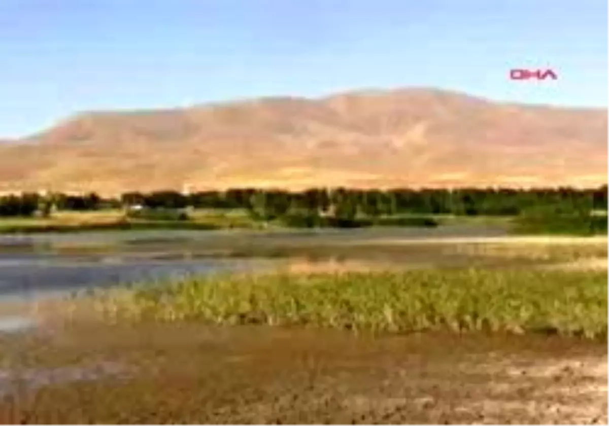 Ördeklere Seyyar Klinik