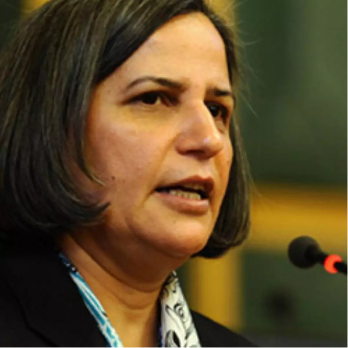 \'Öcalan\'ın Hayali Gerçek Olacak\'