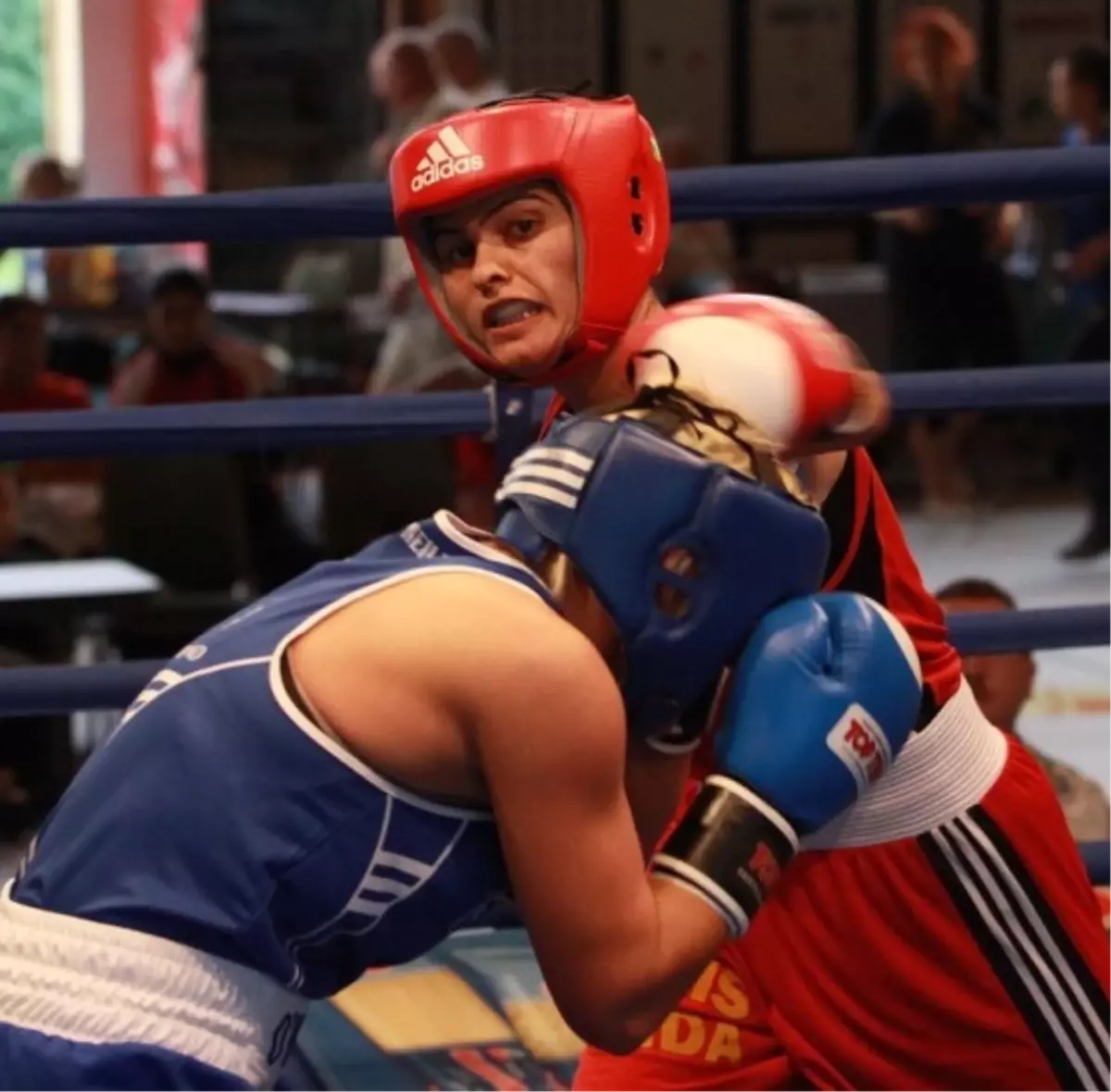 Milli Boksörler 3 Altınla Döndü