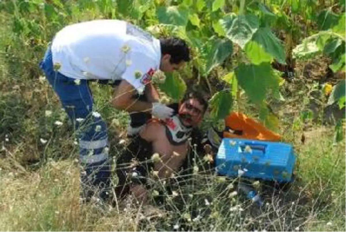 Otomobilin Ayçiçek Tarlasına Fırlattığı Motosikletli 7 Saat Kurtarılmayı Bekledi