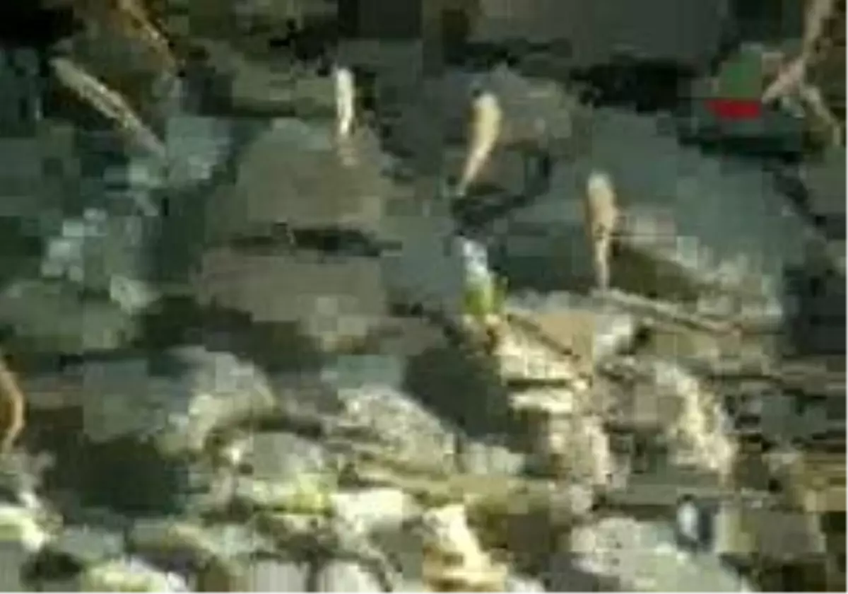 Bayramiç'te Mitoloji Canlandırıldı