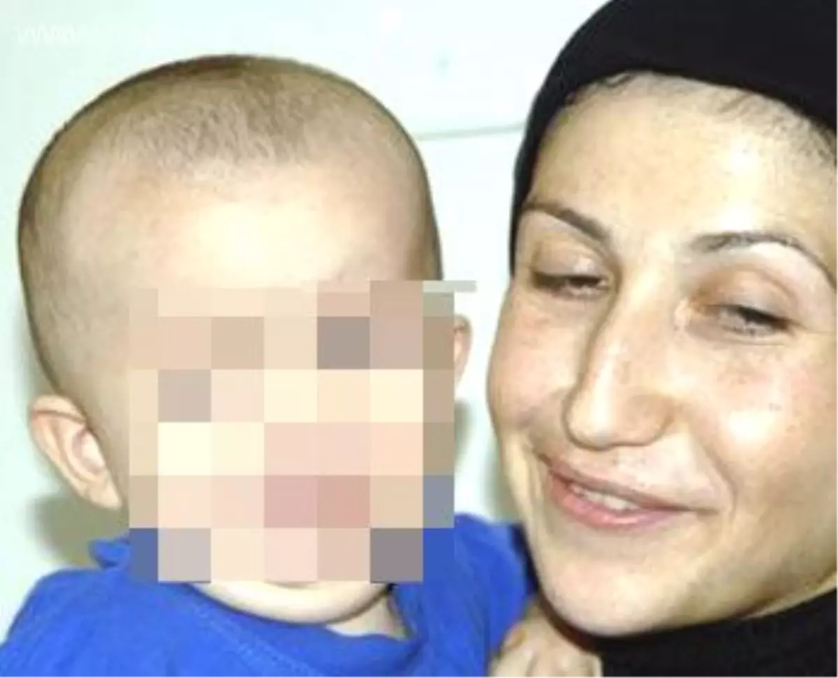 Kökünden Kesme Soruşturmalık Oldu