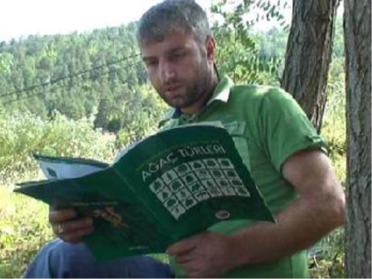 Kaçak Ağaç Kesti, Ormanla İlgili 3 Kitap Okuma Cezasına Çarptırıldı