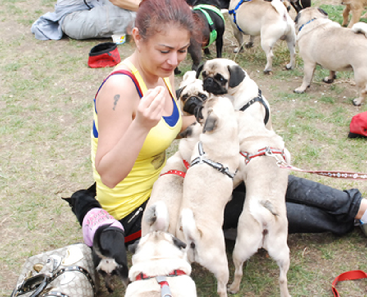 Londra'da Köpekler İçin 'Dostluk Günü' Düzenlendi