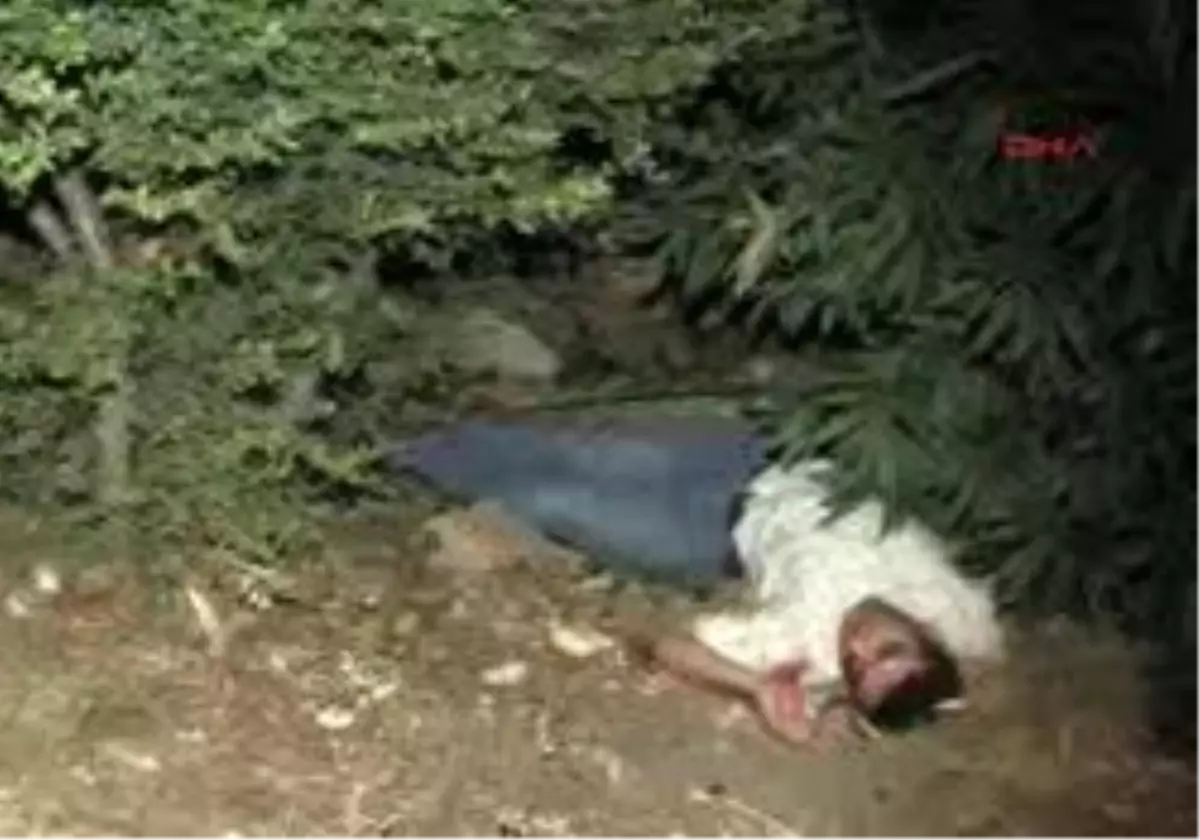 Antalya - Varyanttan Düşen Avukat Bitkisel Hayatta