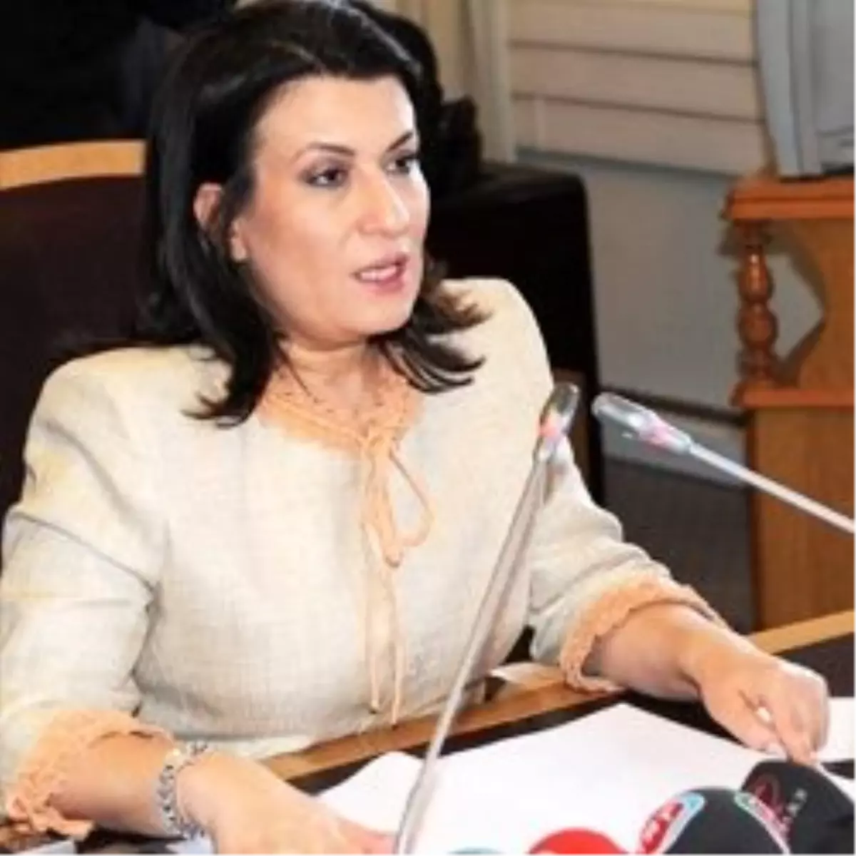 Çubukçu\'nun Sözleri TBMM Gündeminde