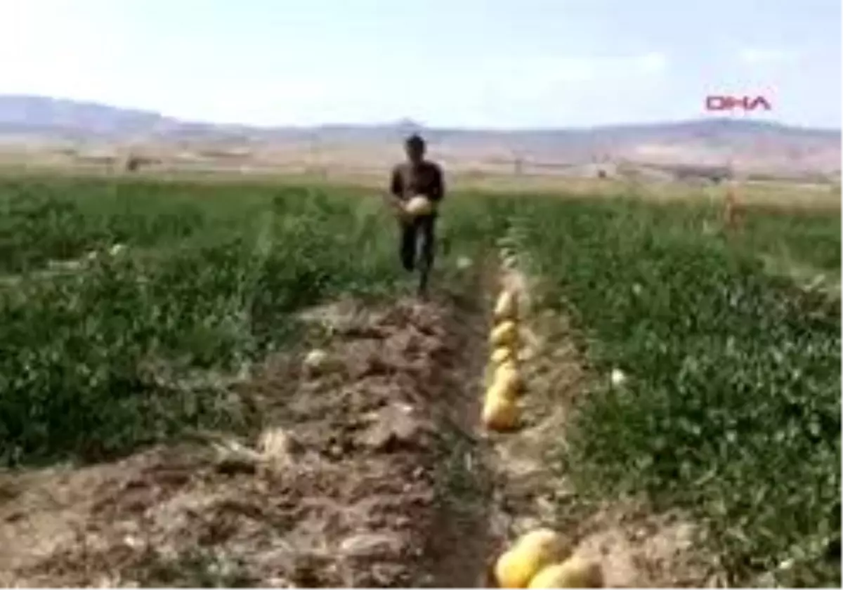 Fareli Köyün Avcıları