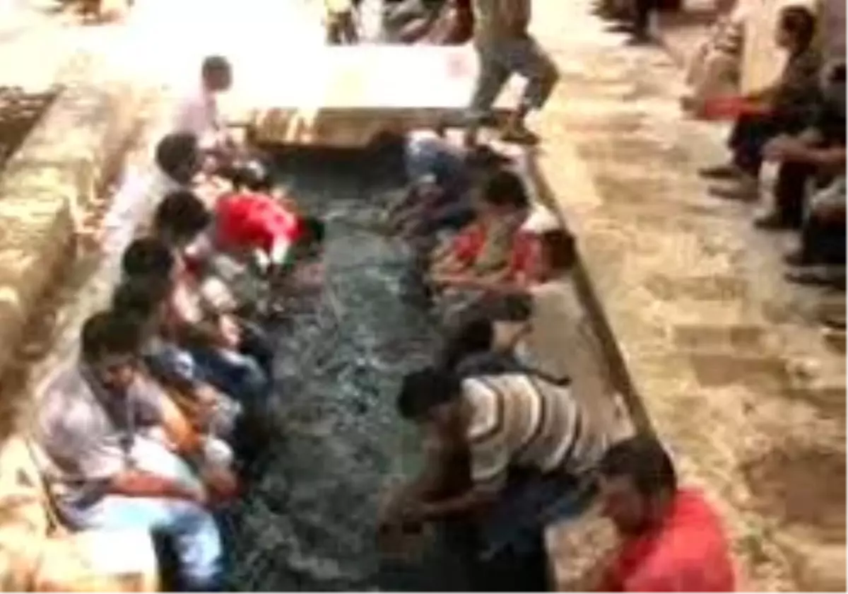 Şanlıurfa - Camide Koyun Koyuna Öğlen Uykusu