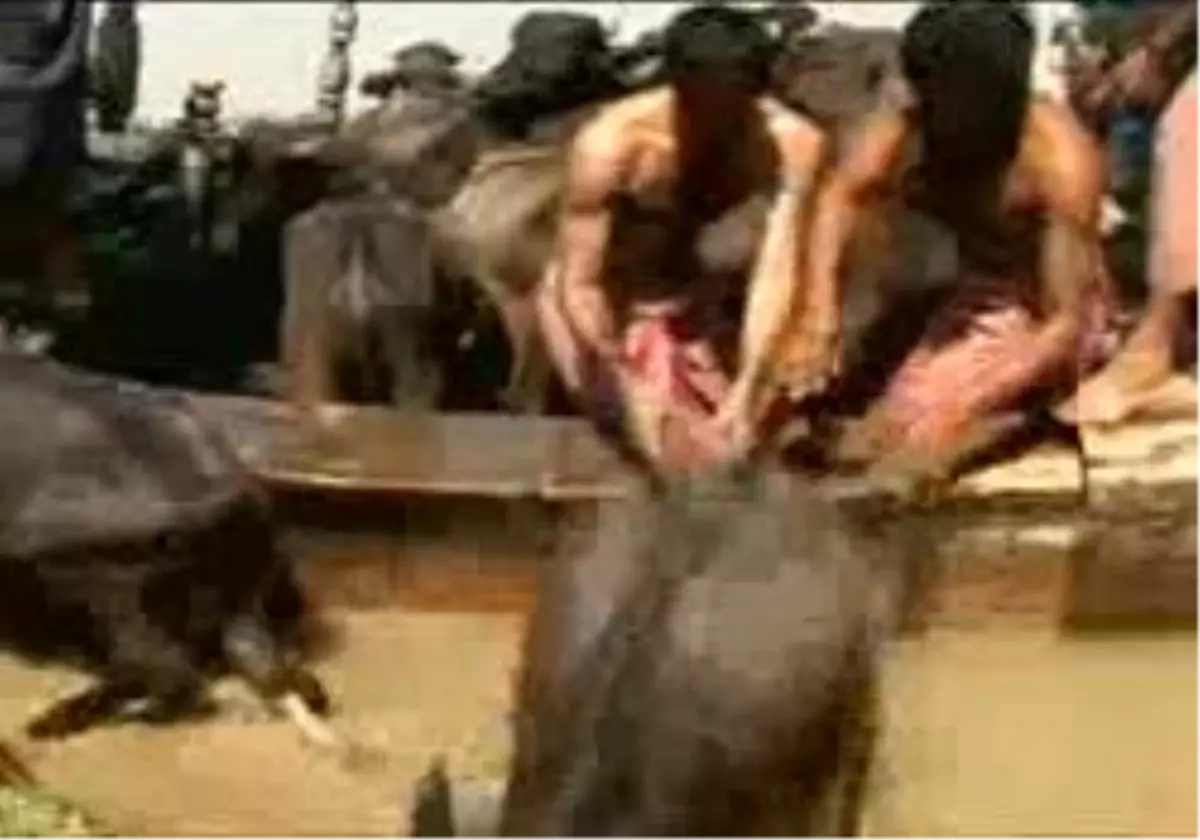 Selin Vurduğu Pakistan?Da Şimdi De Kolera Tehdidi