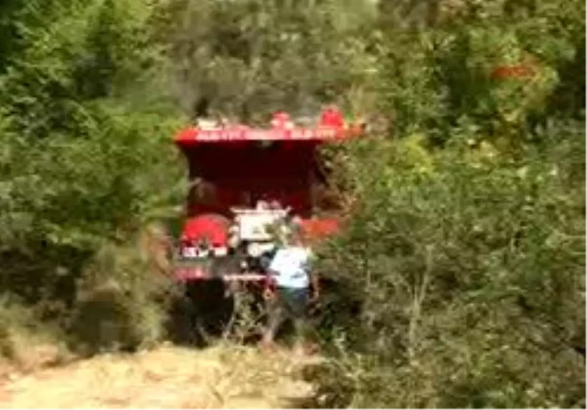 Bartın Kent Ormanı´Nda Yangın