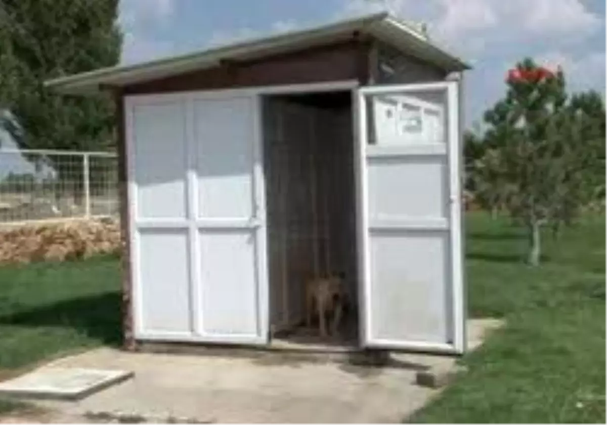 Eskişehir´De Pitbull Cinsi Köpek Parkta 3 Kişiyi Yaraladı